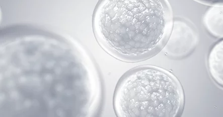 Injeksi Stem Cell Sumsum Tulang